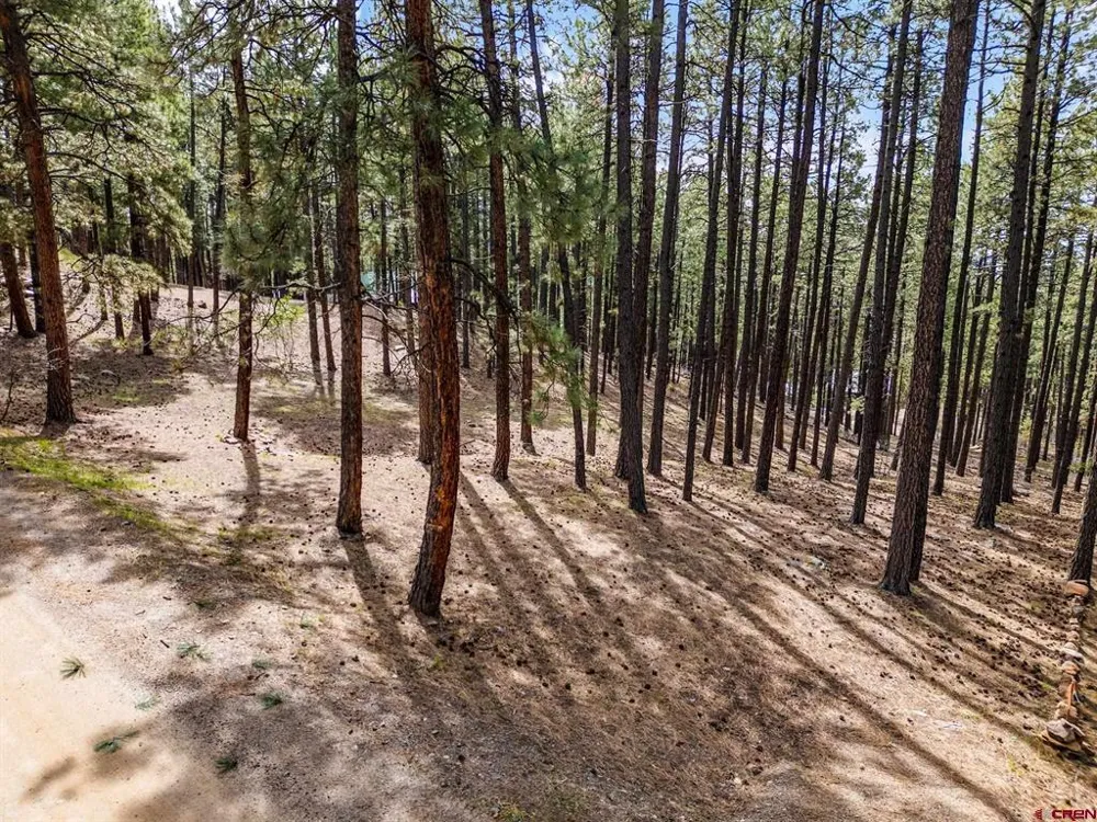 272 Timber Drive Bayfield, CO 81122