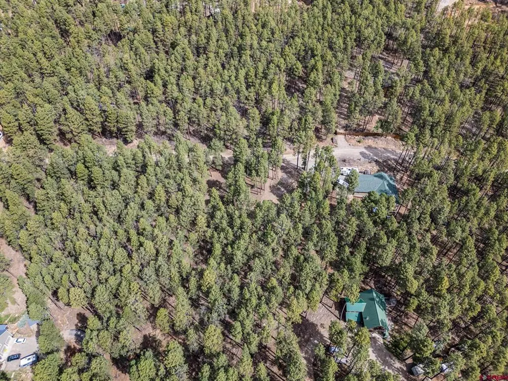 272 Timber Drive Bayfield, CO 81122