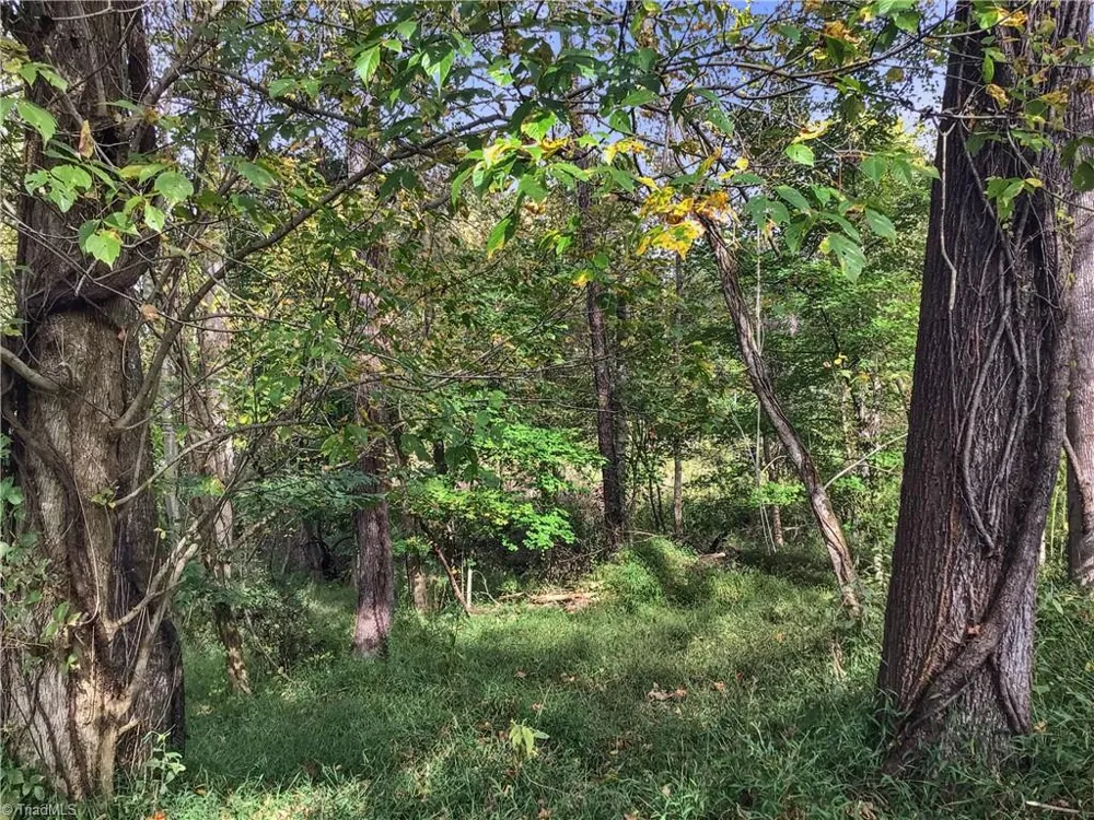 00 NC Highway 268 Elkin, NC 28621