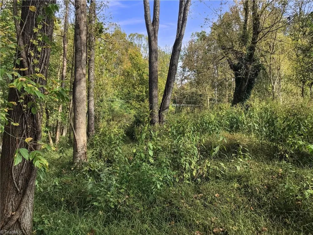 00 NC Highway 268 Elkin, NC 28621