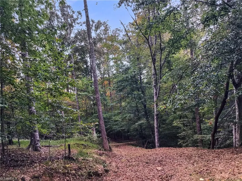 0 E Main Street Elkin, NC 28621