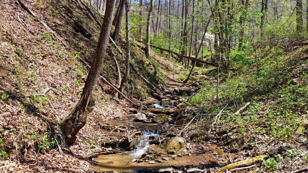 E Alarka Road Bryson City, NC 28713