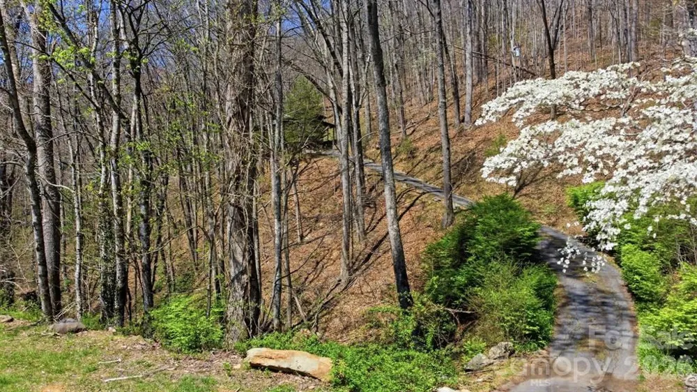 E Alarka Road Bryson City, NC 28713