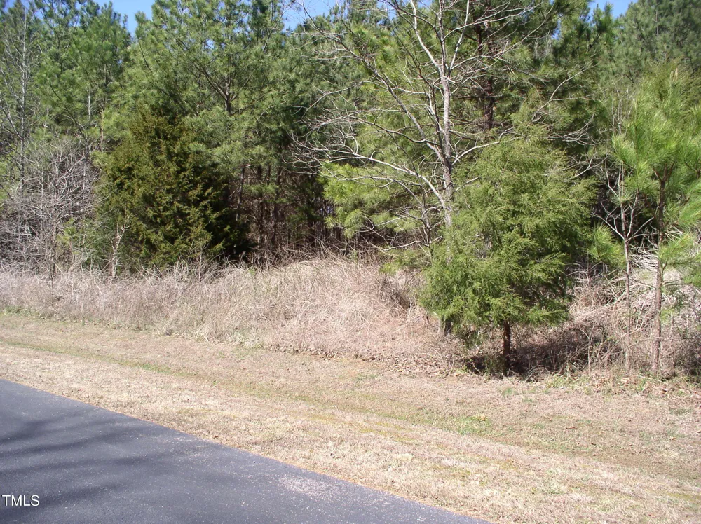 3003 Jonathans Landing Bullock, NC 27507