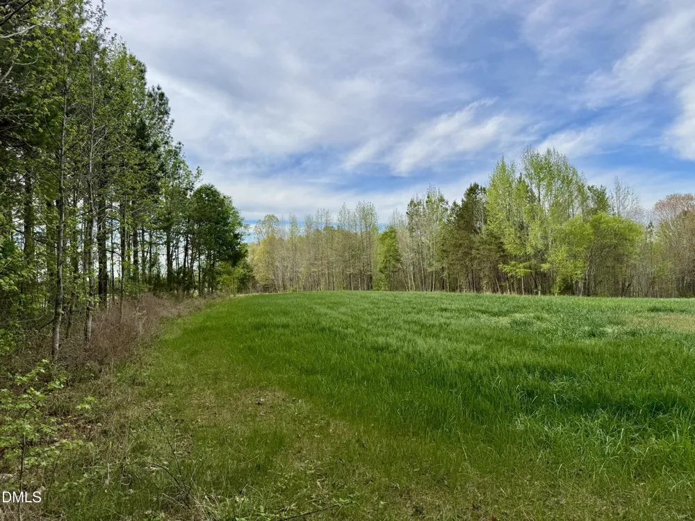 12301 Nc Highway 86 S Prospect Hill, NC 27314