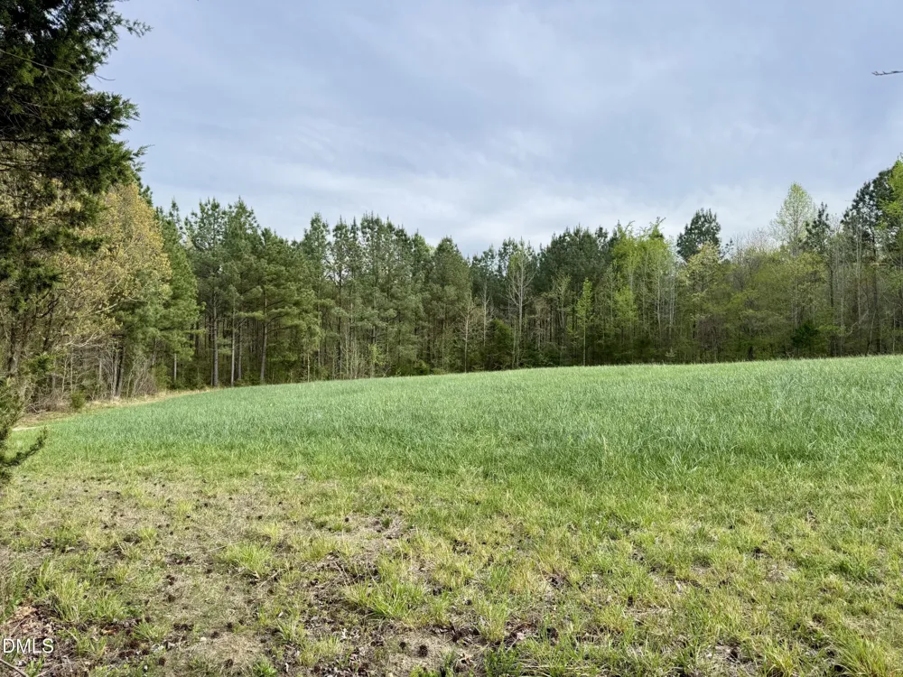 12301 Nc Highway 86 S Prospect Hill, NC 27314
