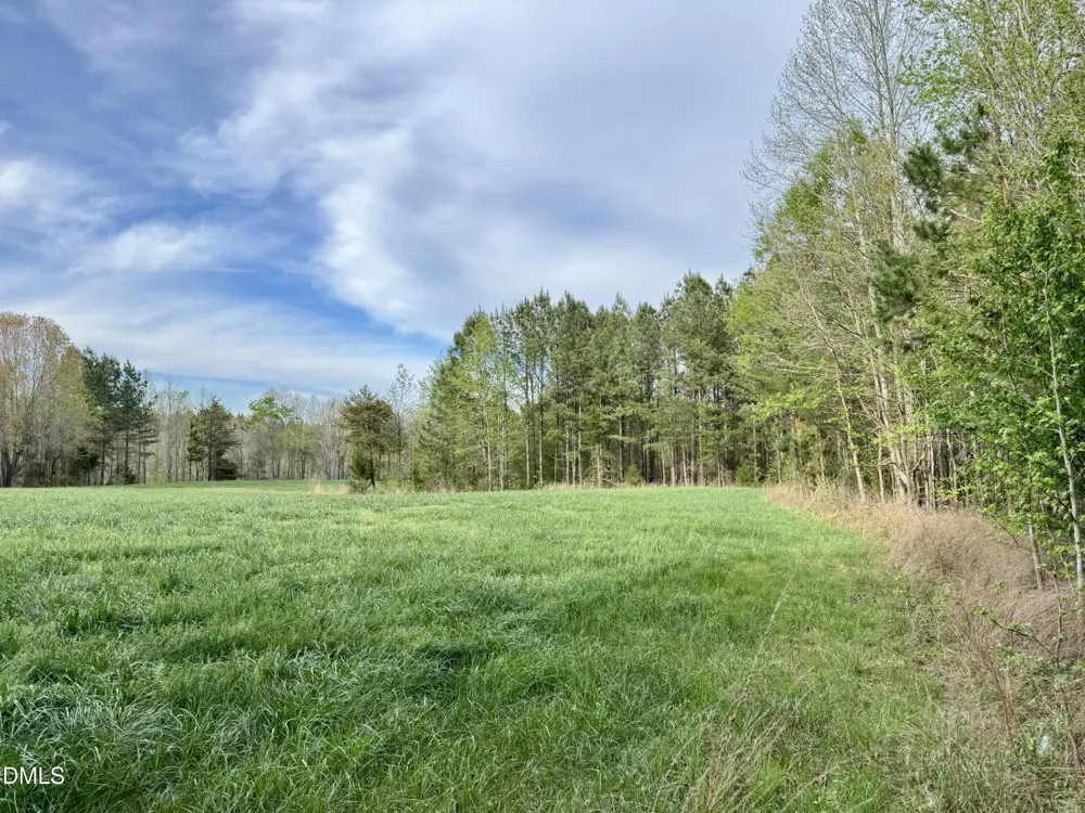 12301 Nc Highway 86 S Prospect Hill, NC 27314