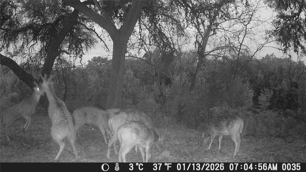 641 Patterson Creek Road Leakey, TX 78873
