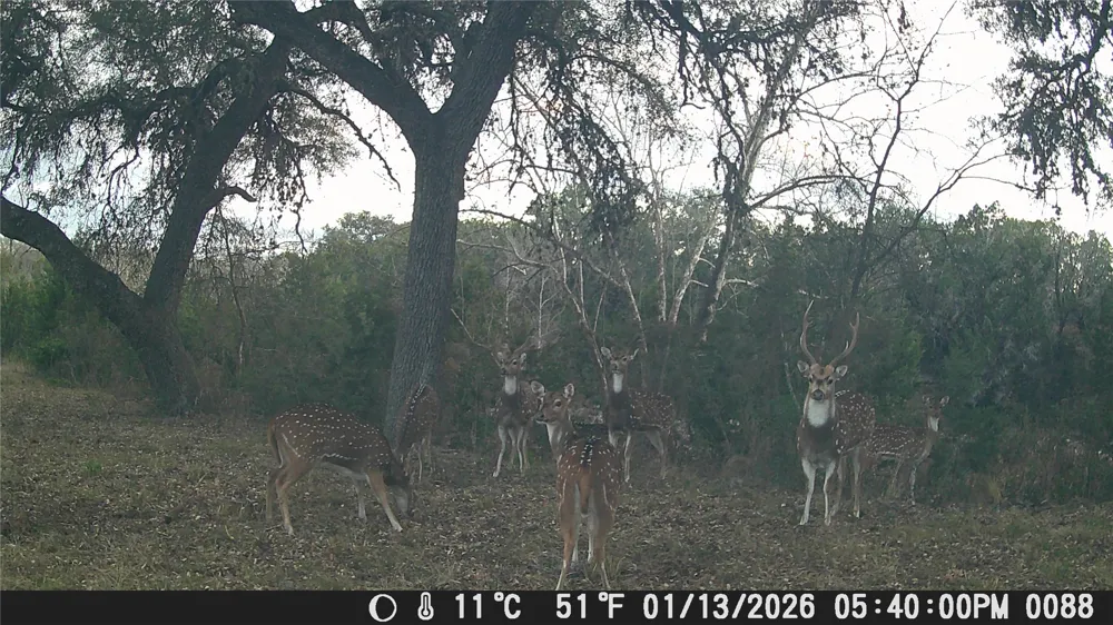 641 Patterson Creek Road Leakey, TX 78873