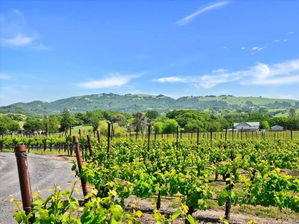 6410 Bennett Valley Road Santa Rosa, CA 95404