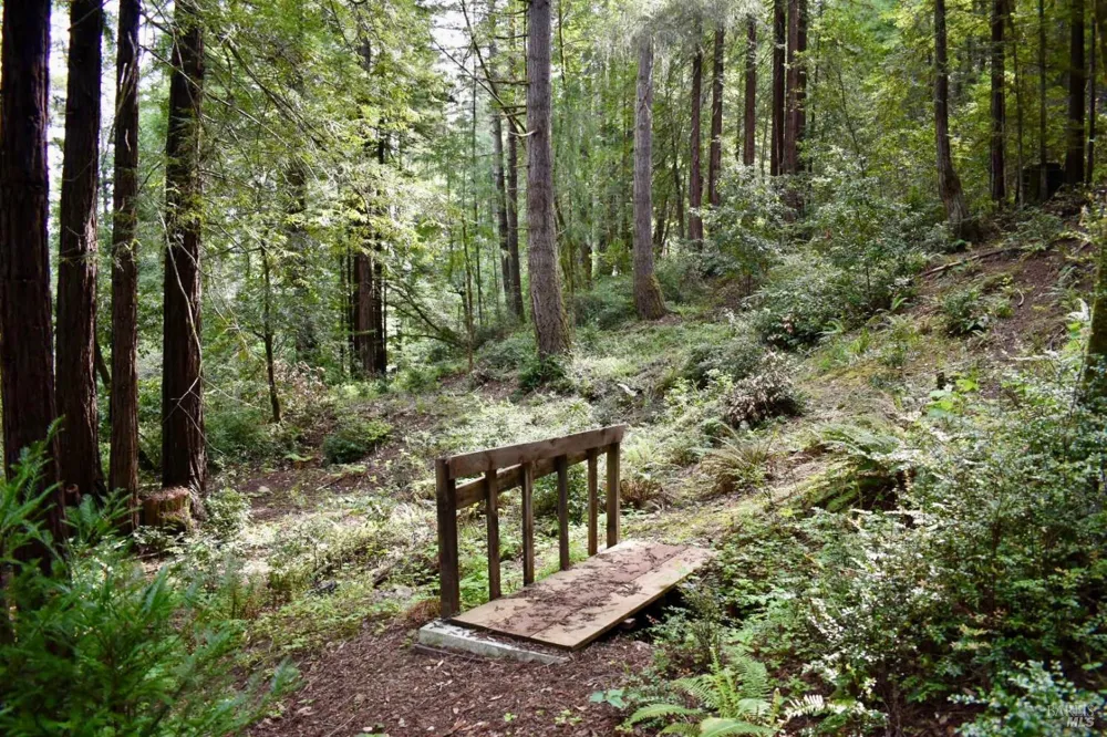 18572 Old Monte Rio Road Guerneville, CA 95446