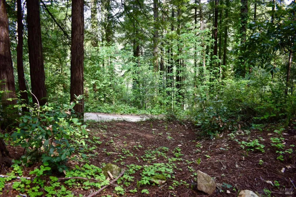18572 Old Monte Rio Road Guerneville, CA 95446