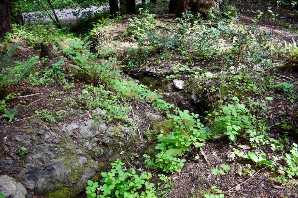18572 Old Monte Rio Road Guerneville, CA 95446