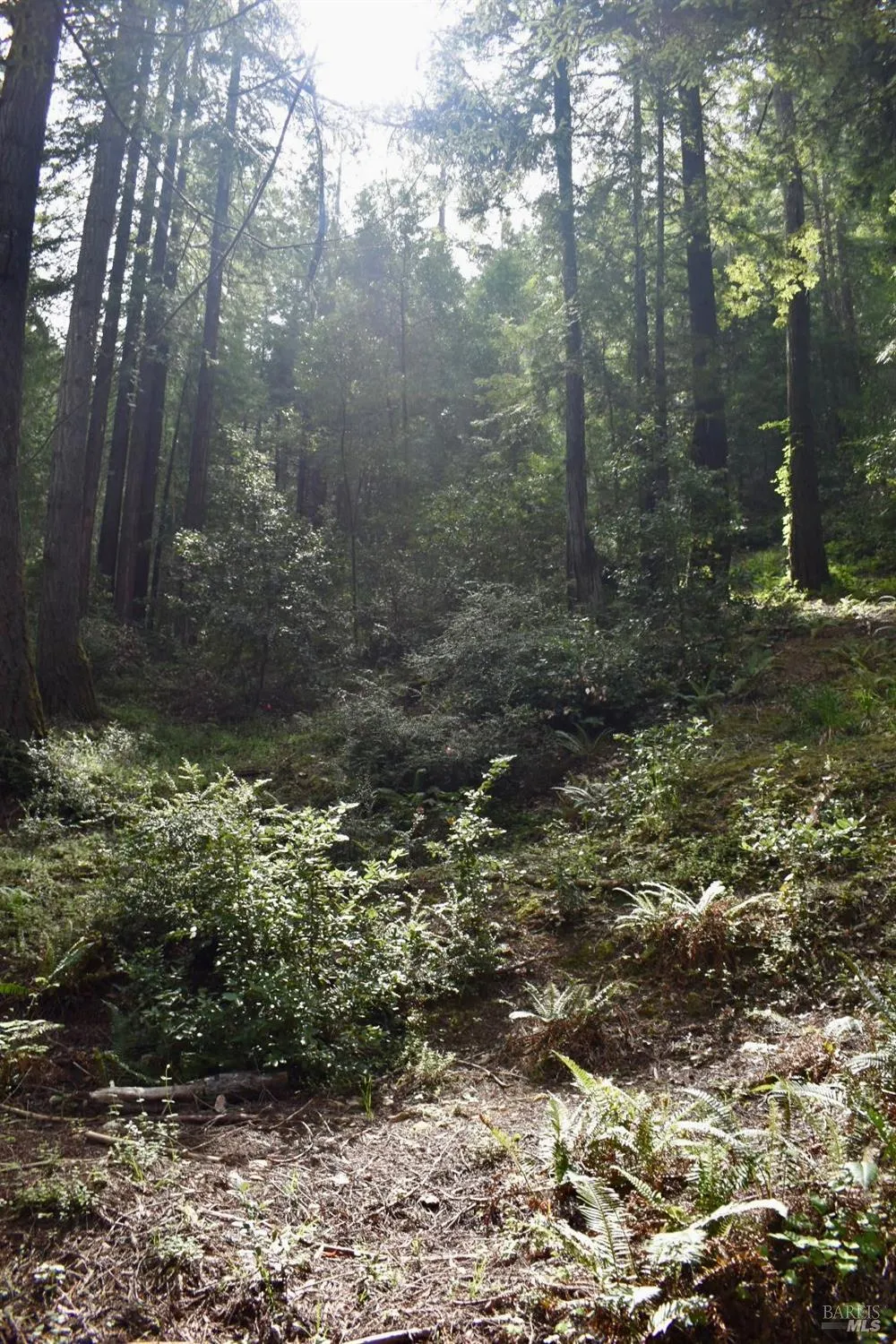 18572 Old Monte Rio Road Guerneville, CA 95446