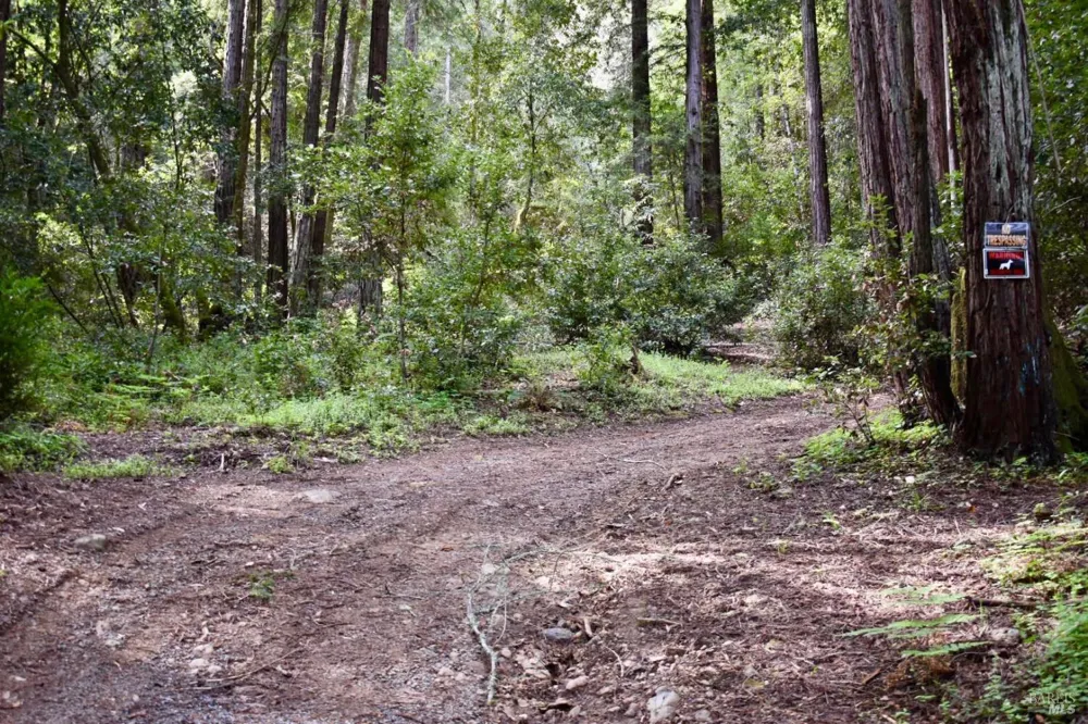 18572 Old Monte Rio Road Guerneville, CA 95446