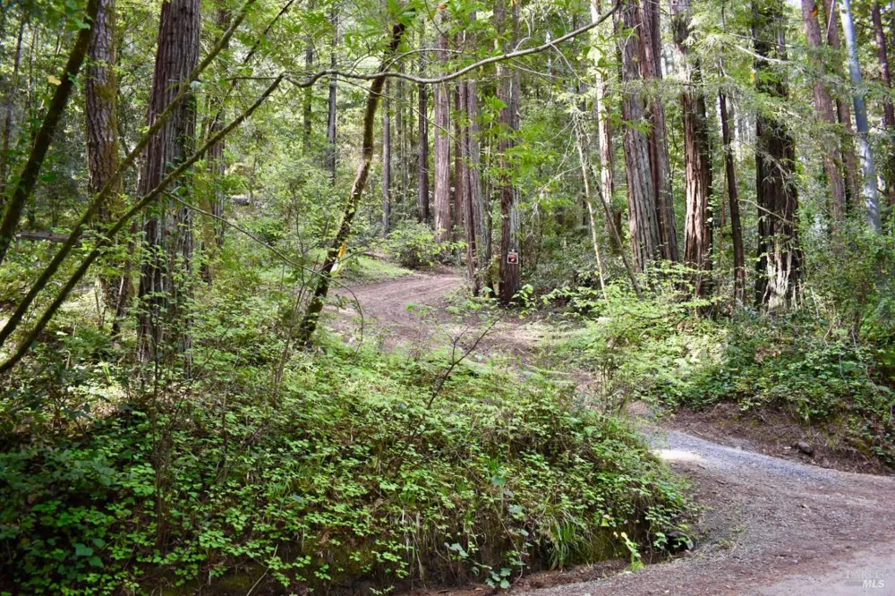 18572 Old Monte Rio Road Guerneville, CA 95446