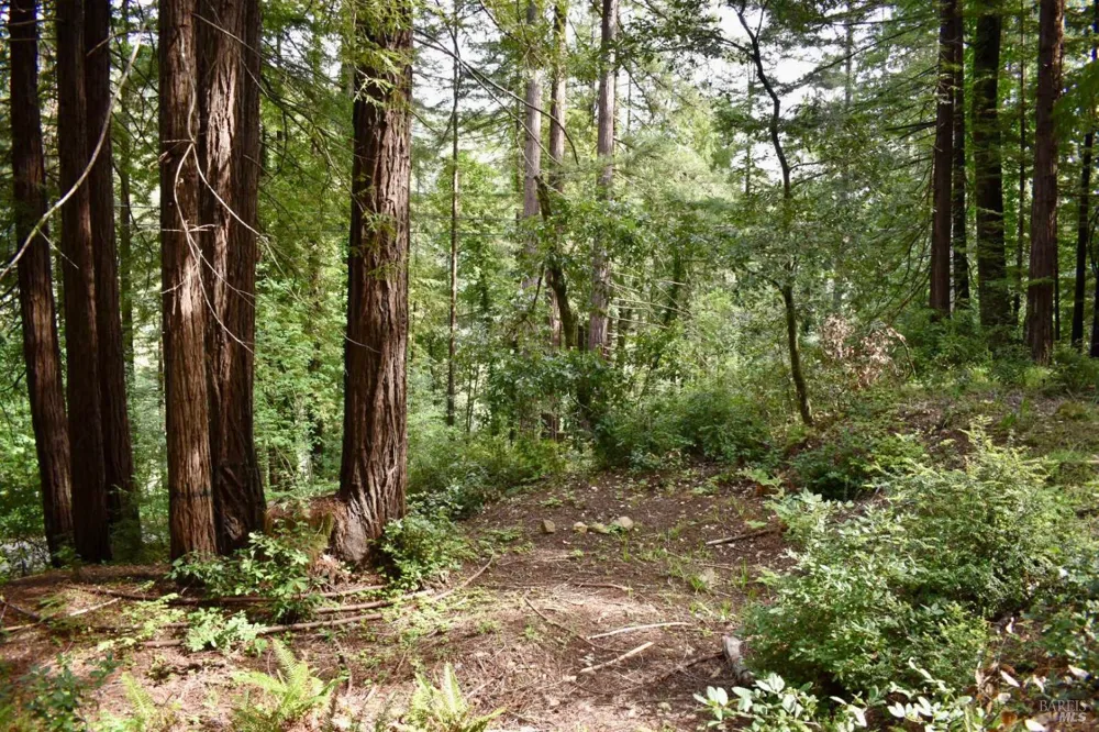 18572 Old Monte Rio Road Guerneville, CA 95446