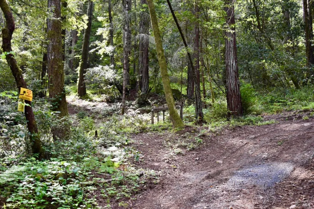 18572 Old Monte Rio Road Guerneville, CA 95446