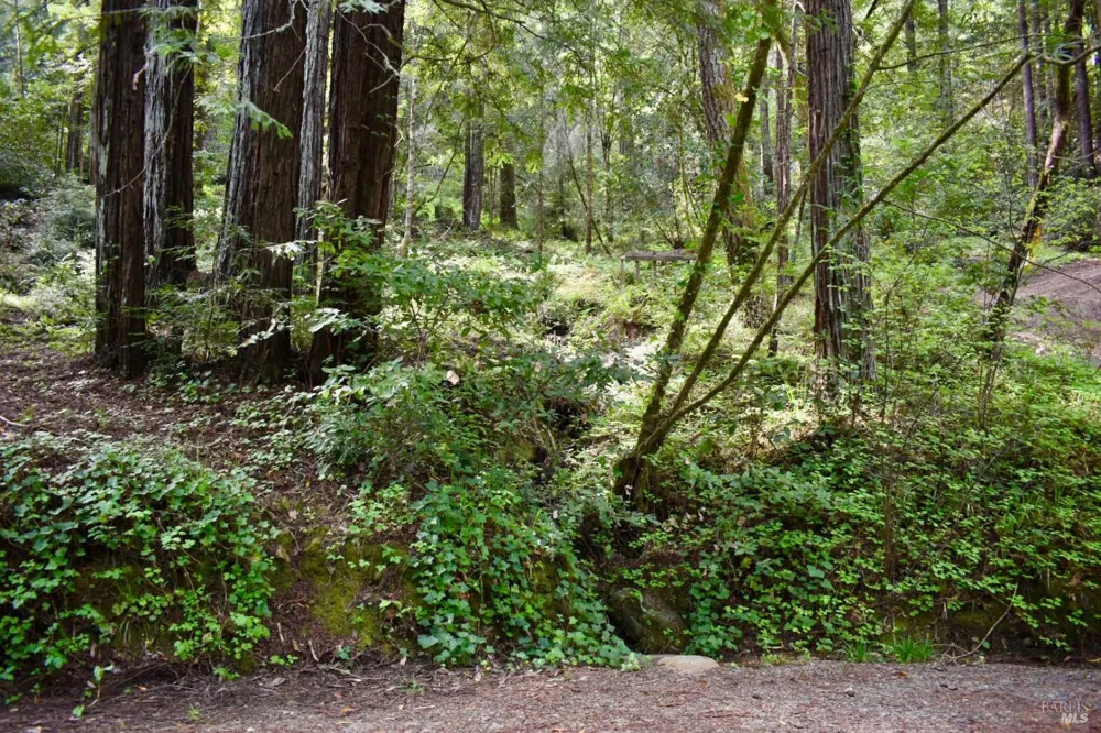 18572 Old Monte Rio Road Guerneville, CA 95446