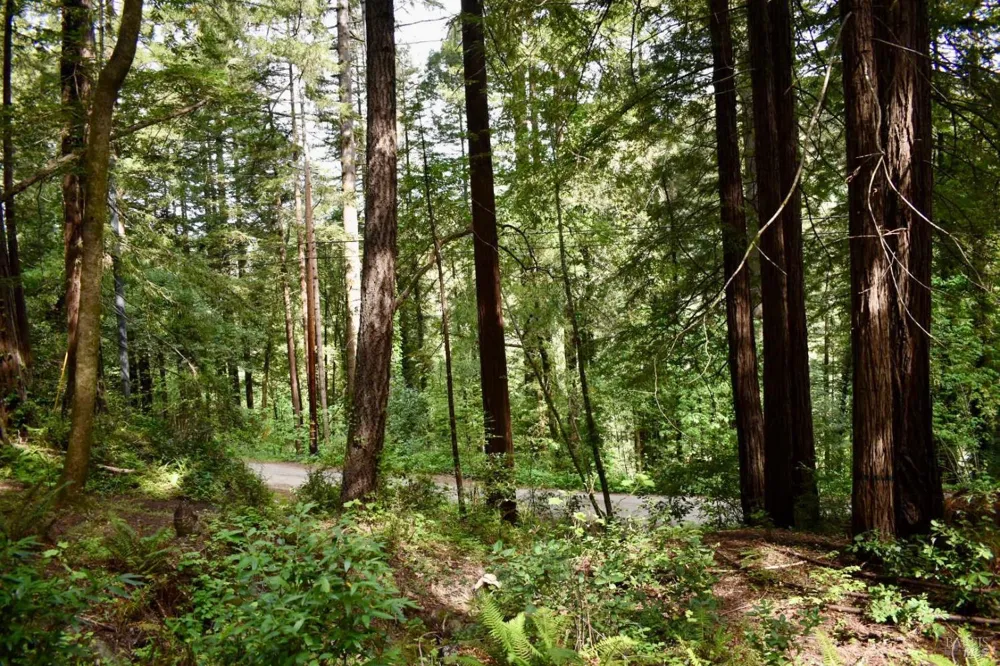 18572 Old Monte Rio Road Guerneville, CA 95446
