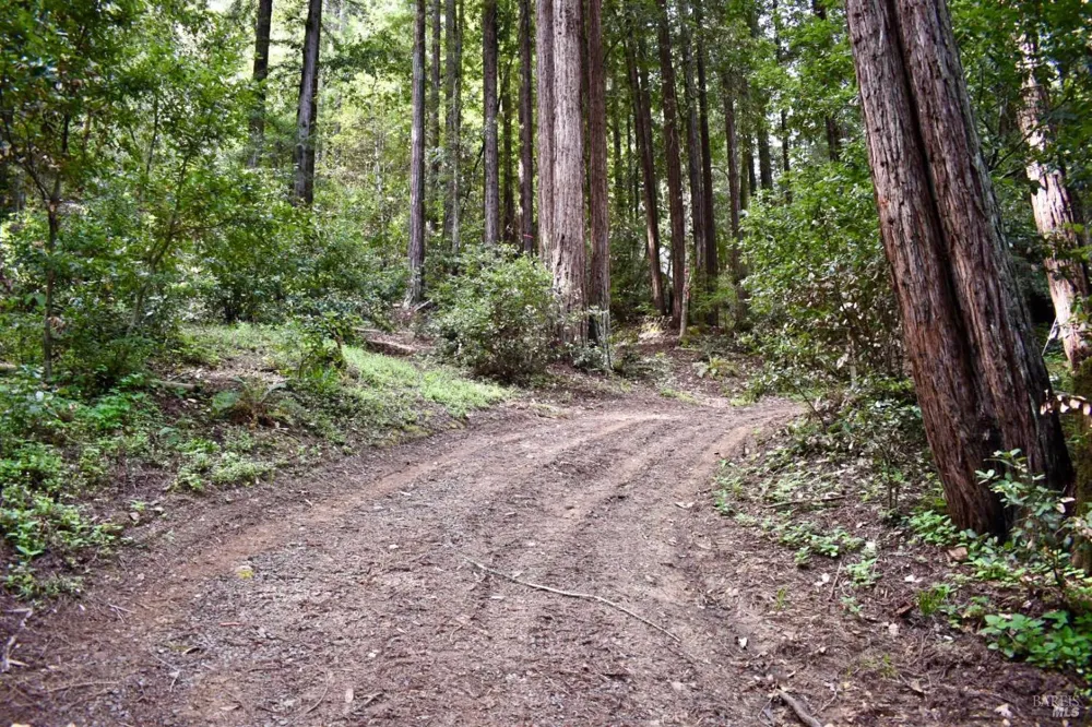 18572 Old Monte Rio Road Guerneville, CA 95446
