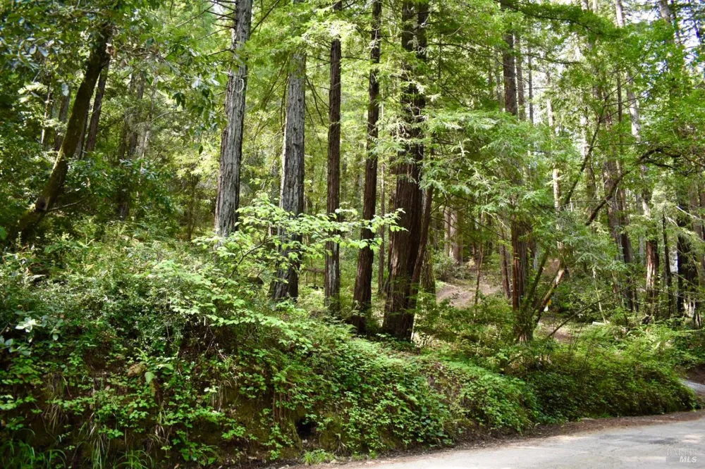 18572 Old Monte Rio Road Guerneville, CA 95446