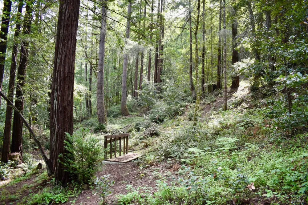 18572 Old Monte Rio Road Guerneville, CA 95446