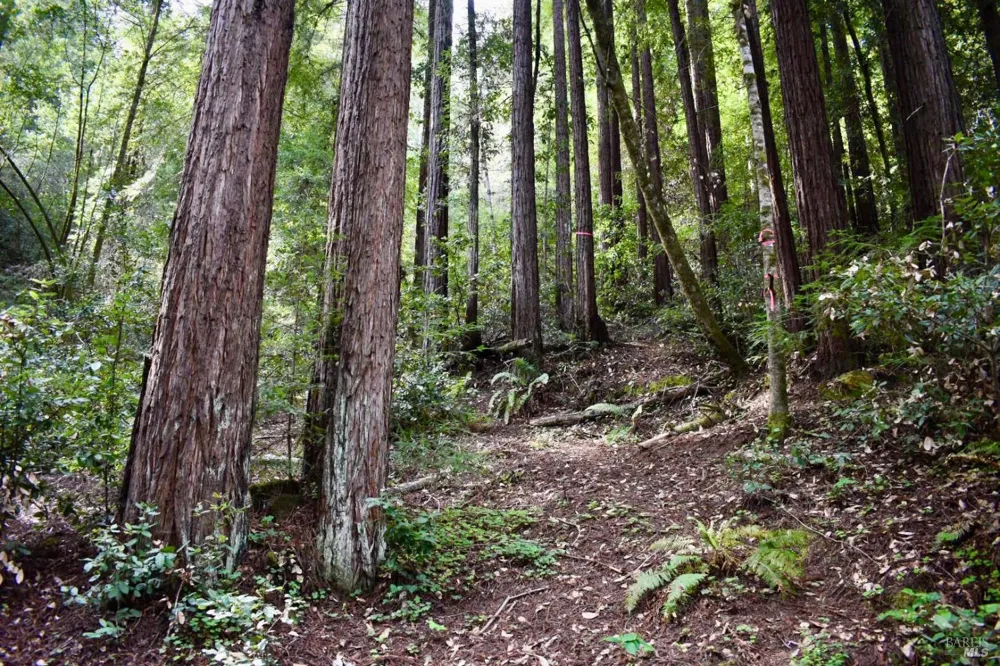 18572 Old Monte Rio Road Guerneville, CA 95446