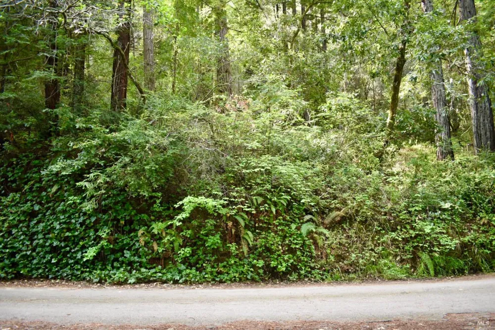 18572 Old Monte Rio Road Guerneville, CA 95446