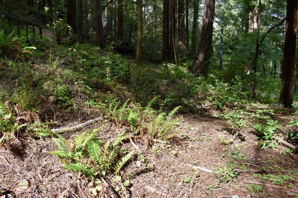 18572 Old Monte Rio Road Guerneville, CA 95446