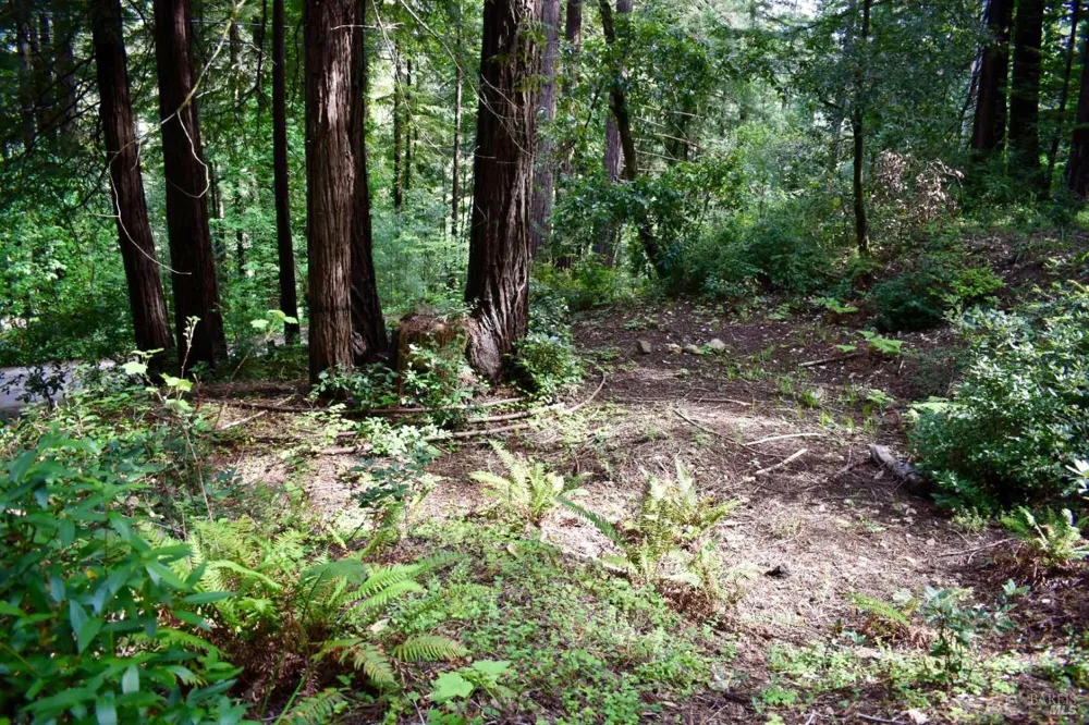 18572 Old Monte Rio Road Guerneville, CA 95446