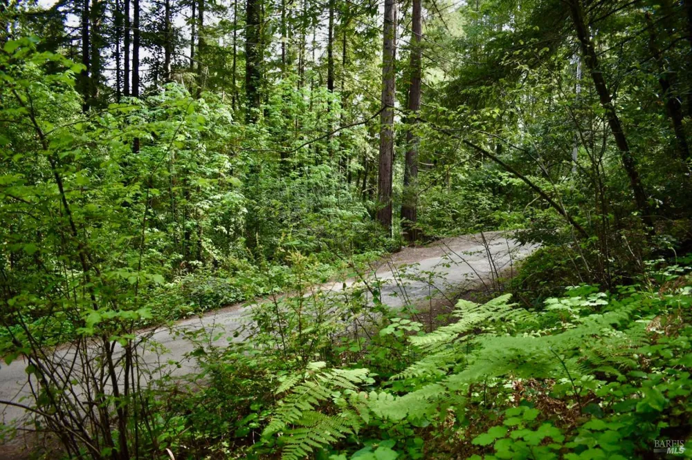 18572 Old Monte Rio Road Guerneville, CA 95446