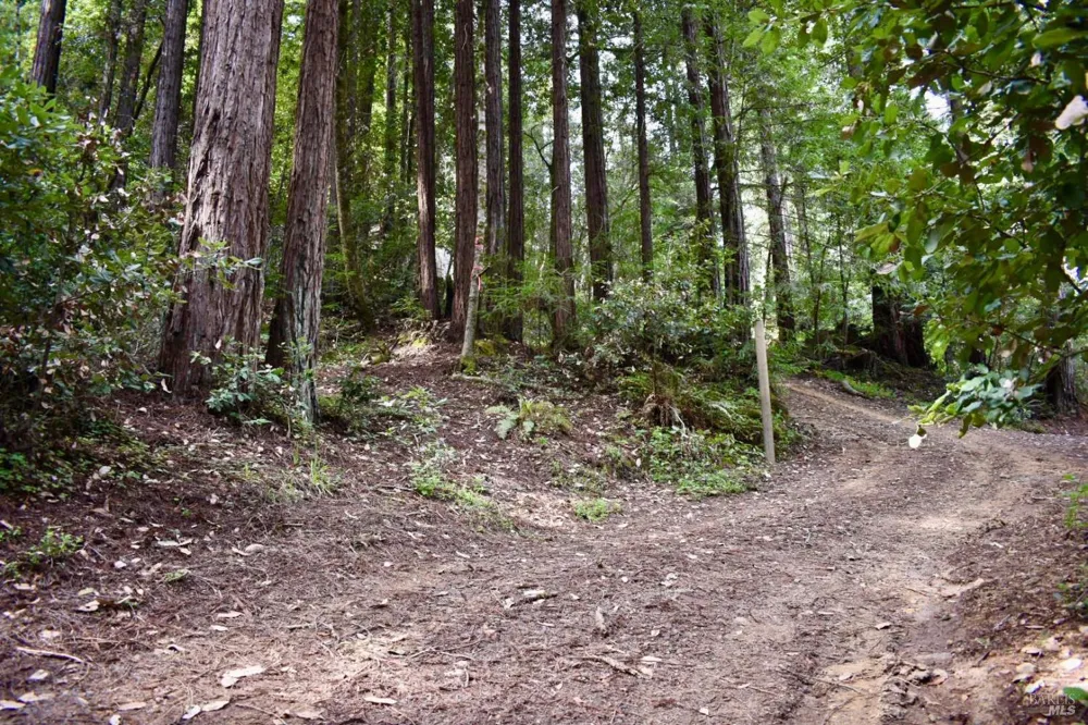 18572 Old Monte Rio Road Guerneville, CA 95446