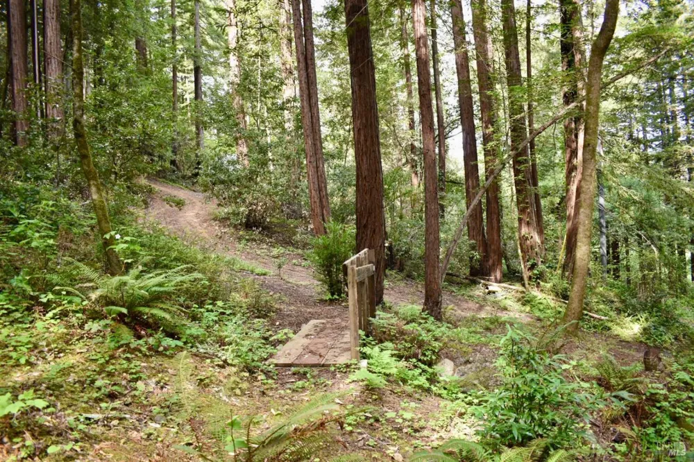 18572 Old Monte Rio Road Guerneville, CA 95446