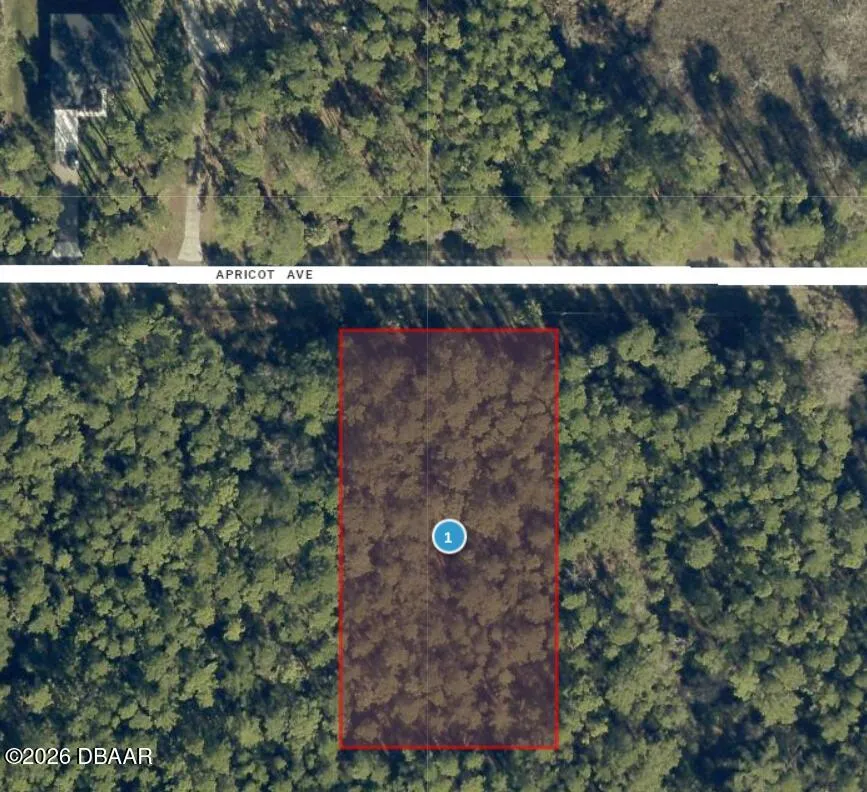 Apricot Avenue Eustis, FL 32736