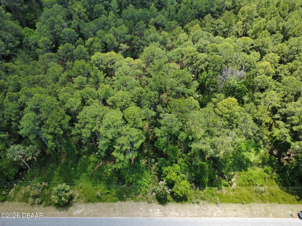 Apricot Avenue Eustis, FL 32736