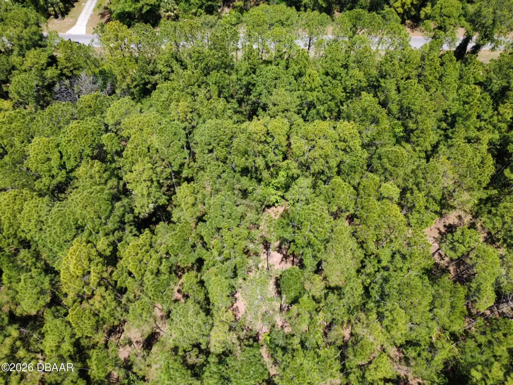 Apricot Avenue Eustis, FL 32736