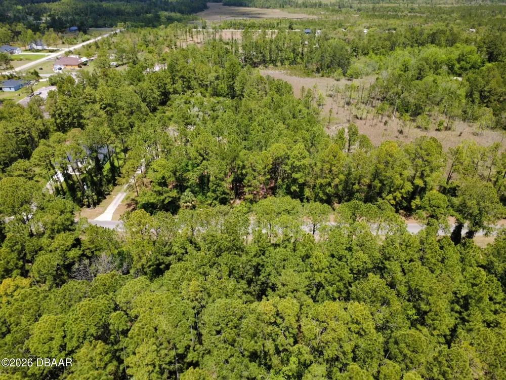 Apricot Avenue Eustis, FL 32736