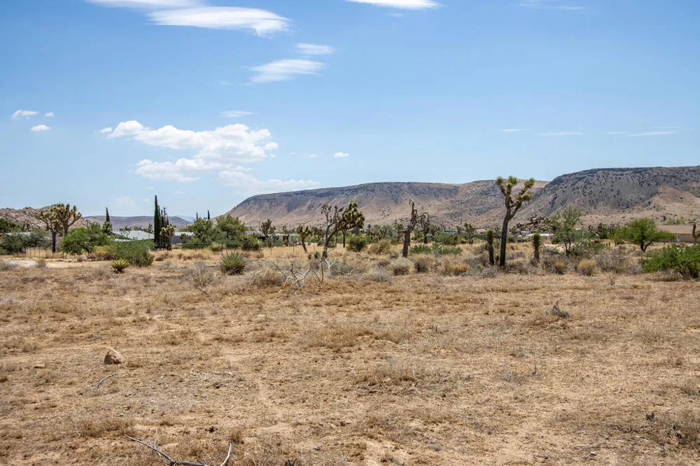 201 Pipes Canyon Road Pioneertown, CA 92268