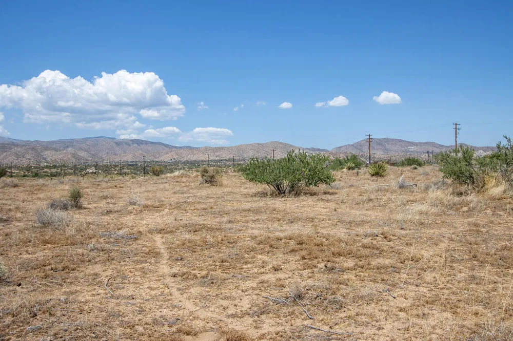 201 Pipes Canyon Road Pioneertown, CA 92268
