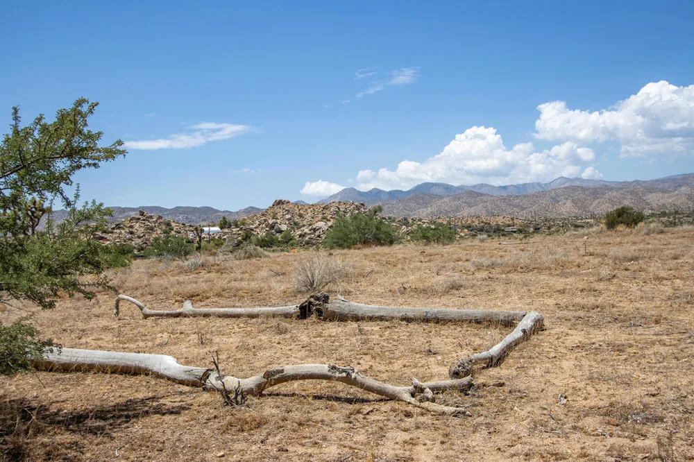 201 Pipes Canyon Road Pioneertown, CA 92268