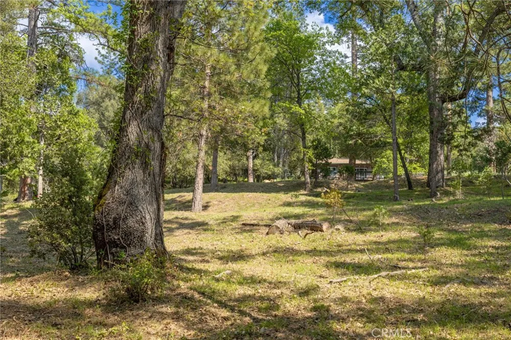 1 Oak Lane Oakhurst, CA 93644