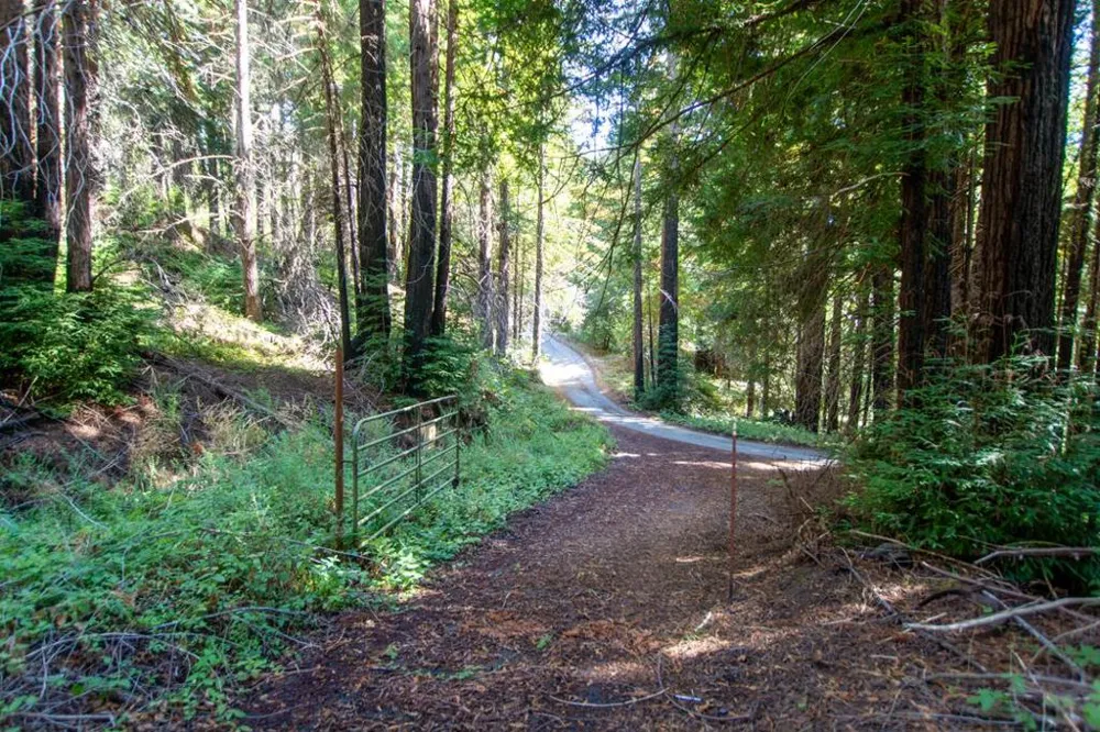 19145 Big Basin Way Boulder Creek, CA 95006