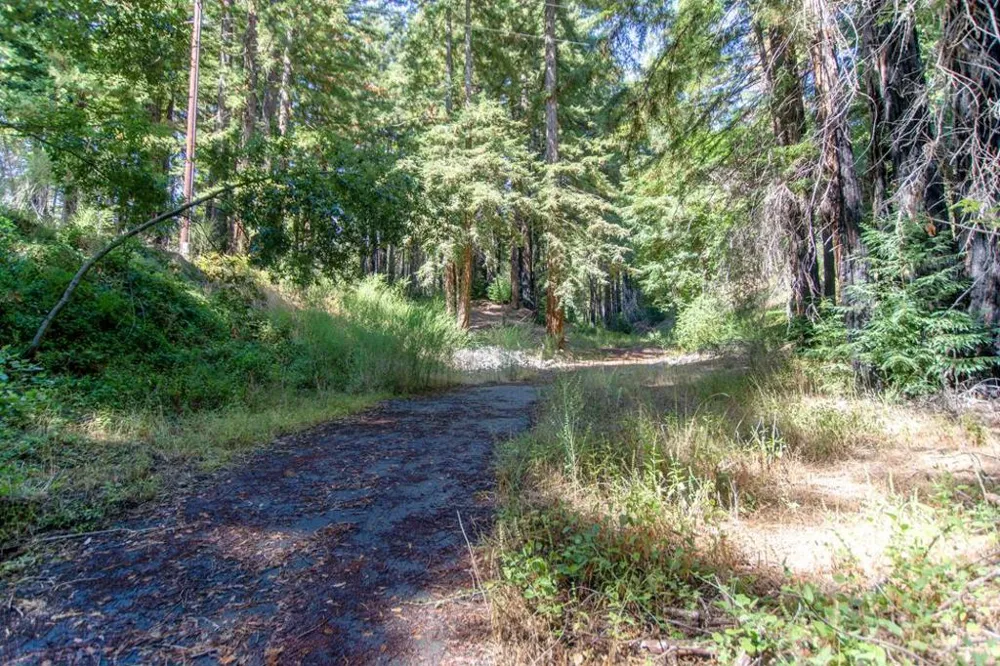 19145 Big Basin Way Boulder Creek, CA 95006