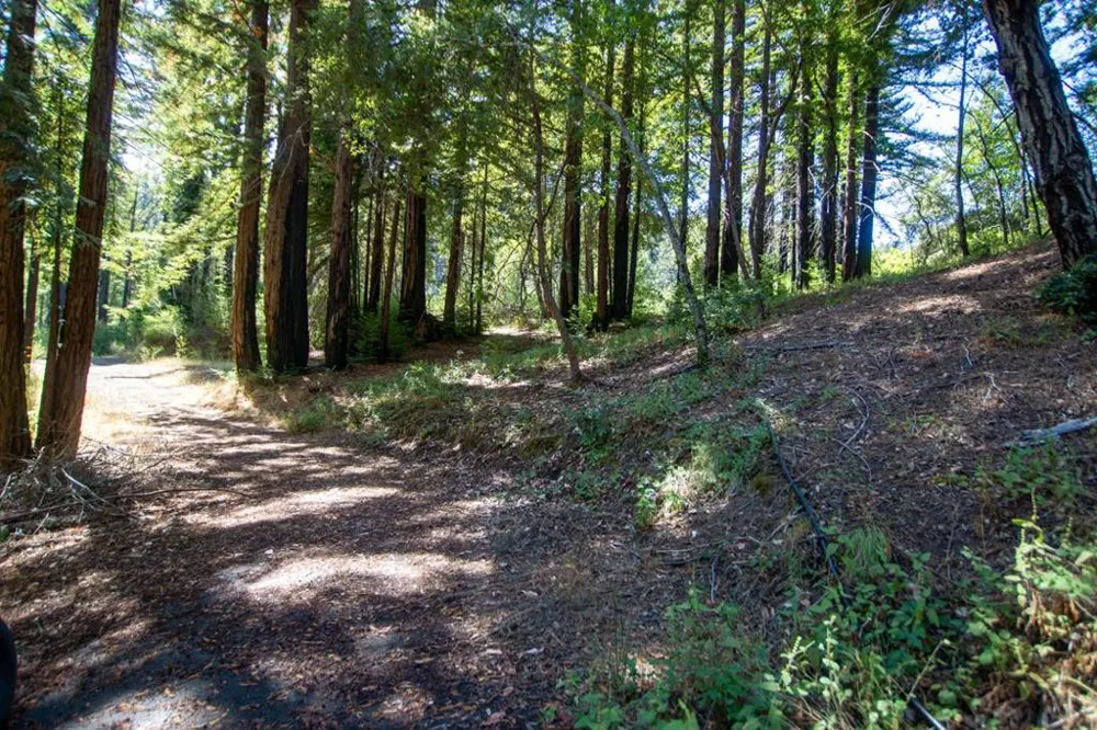 19145 Big Basin Way Boulder Creek, CA 95006
