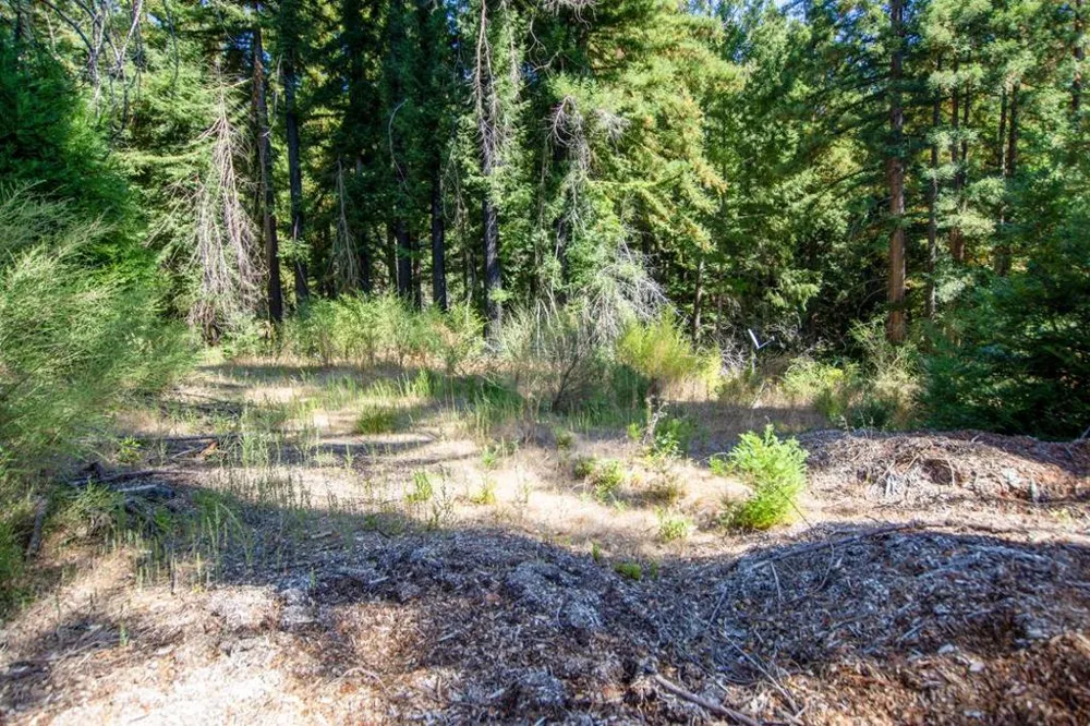 19145 Big Basin Way Boulder Creek, CA 95006