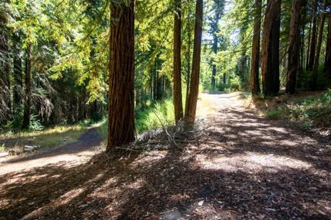 19145 Big Basin Way