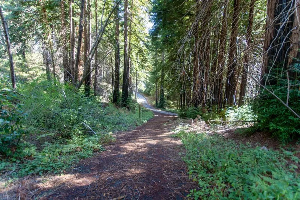 19145 Big Basin Way Boulder Creek, CA 95006
