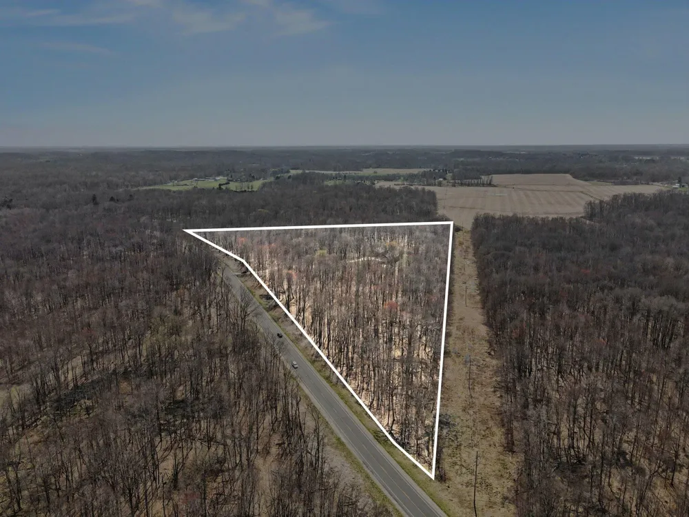52755 M 43 Arlington Township, MI 49013