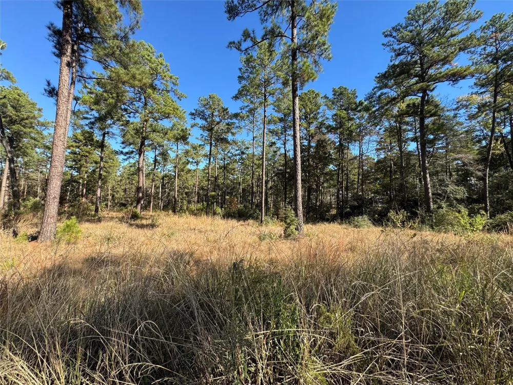 65 Private Road 6026 Brookeland, TX 75931